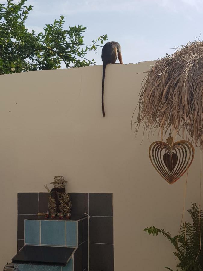 Mandinka Lodge Kololi Esterno foto